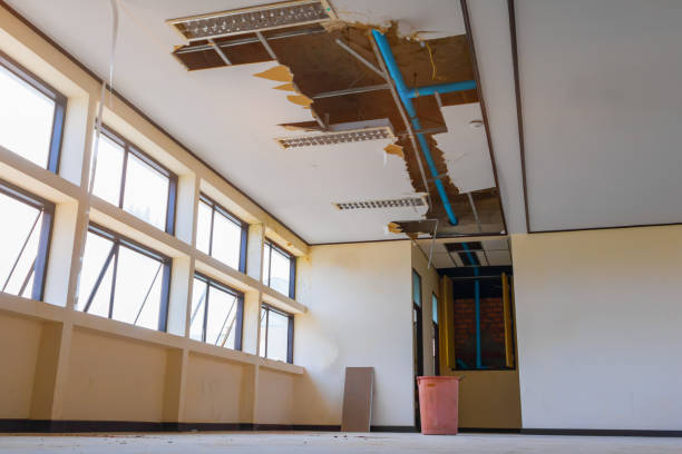 Water damage restoration mold remediation in Nome, AK
