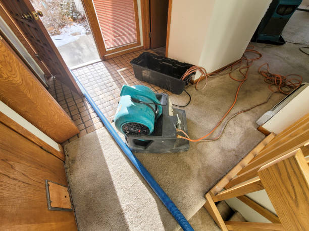 Carpet water damage restoration in Nome, AK