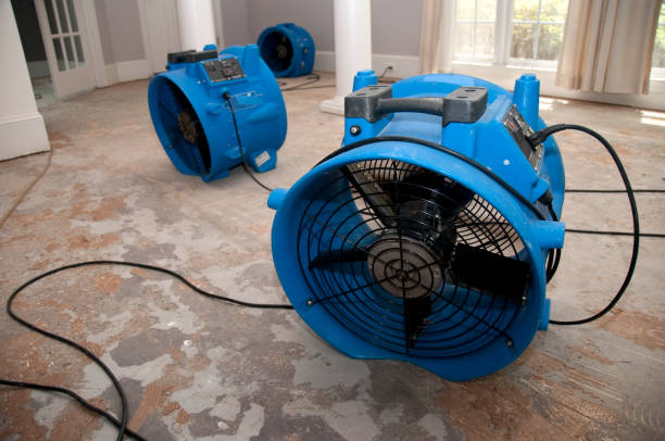 Best Flooded house restoration  in Nome, AK