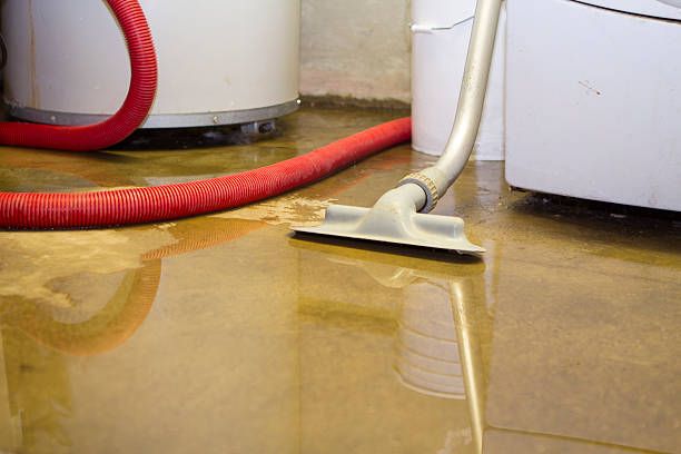 Best Sewage cleanup and water damage restoration  in Nome, AK